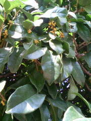 a0088007_23512852.jpg