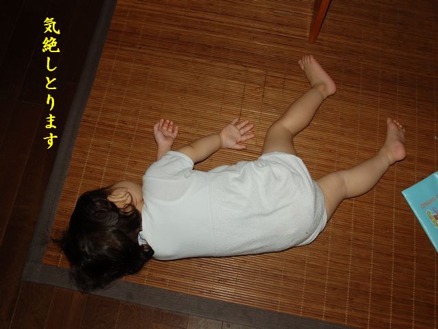 e0094407_0324749.jpg