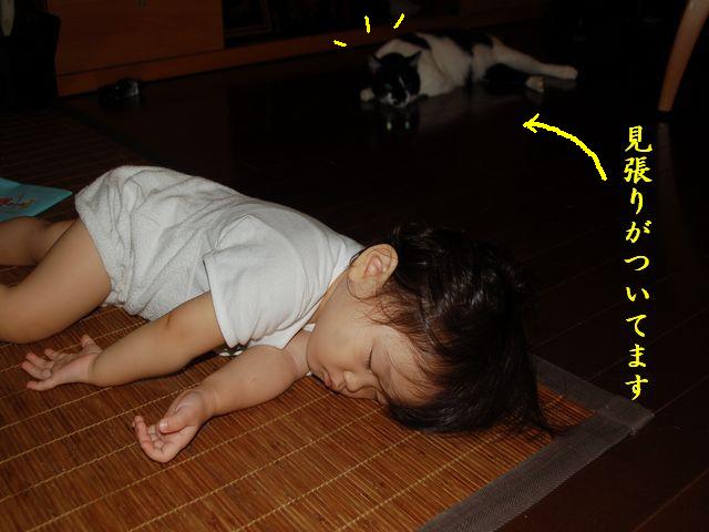 e0094407_033136.jpg