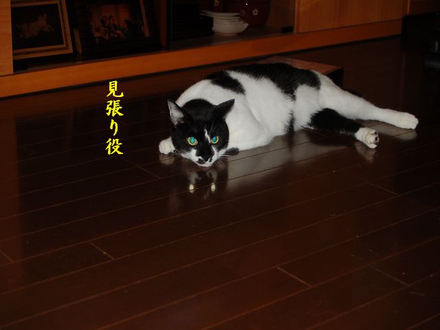 e0094407_0343748.jpg
