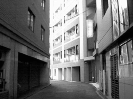 a0055913_023858.gif