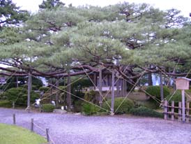 続・台風_f0084515_9371970.jpg