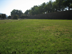 f0097620_20405643.jpg