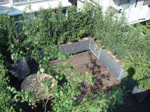 北側の植栽 Han環境 建築設計事務所