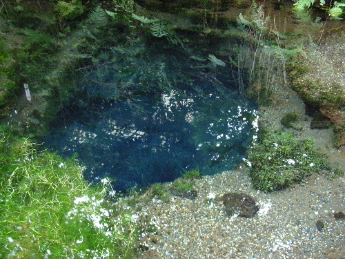 「山梨 忍野八海日帰り旅行」_a0000029_2395547.jpg