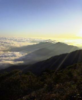 c0089831_6192687.jpg