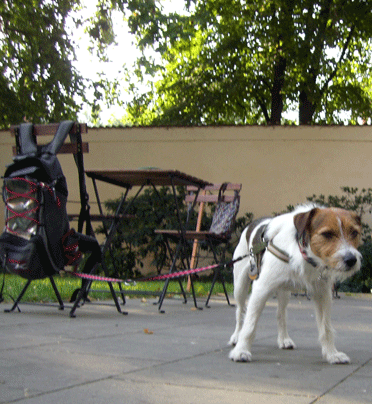 f0077150_19462631.gif