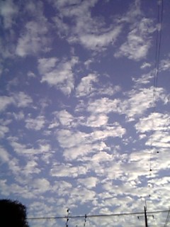 e0040452_11412858.jpg