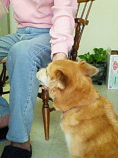 f0034156_10581328.jpg