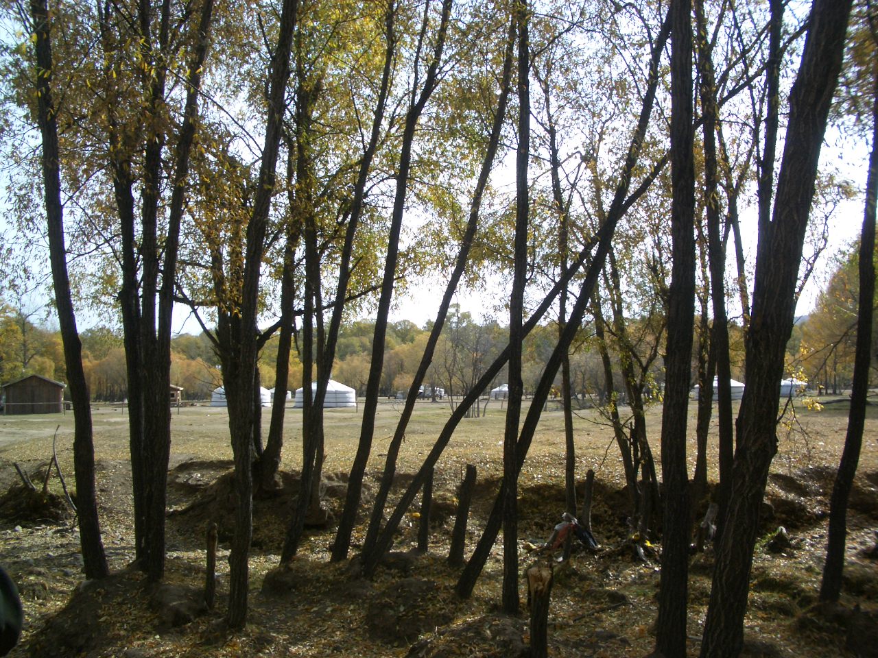 a0083864_19263845.jpg