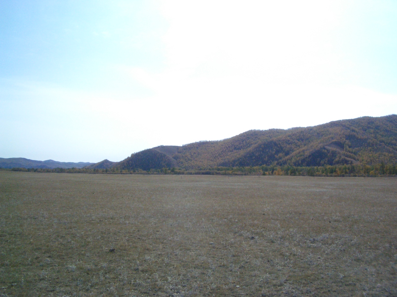 a0083864_19322952.jpg