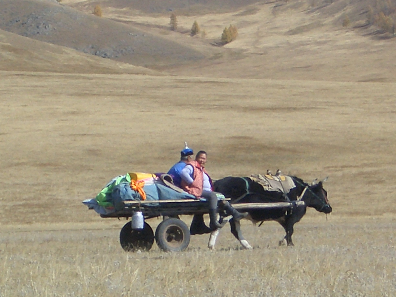 a0083864_2014428.jpg