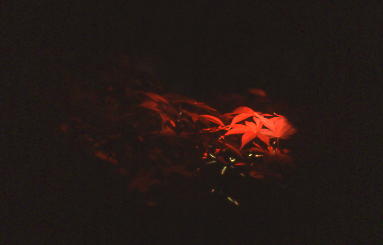 d0025894_0181331.jpg