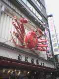 c0023406_20261739.jpg