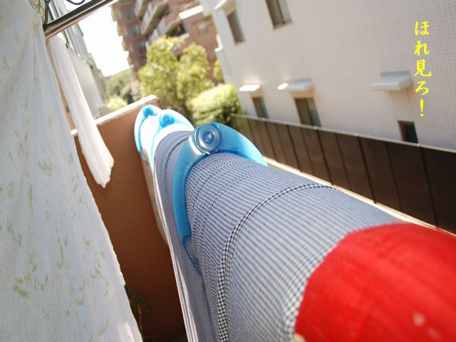 e0094407_0134213.jpg