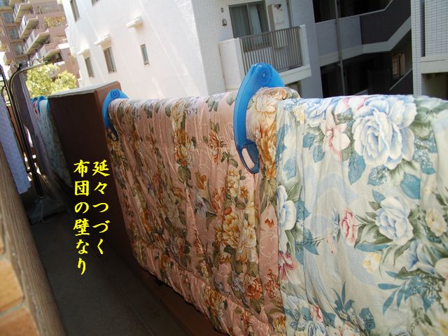 e0094407_0142627.jpg
