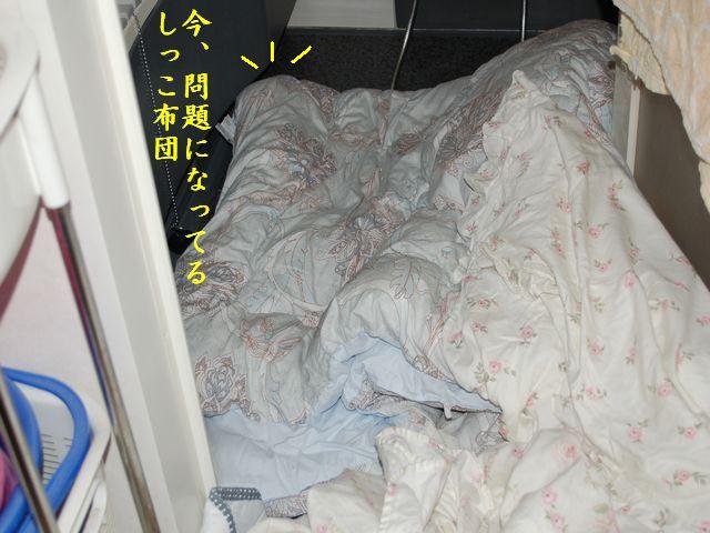 e0094407_0192829.jpg
