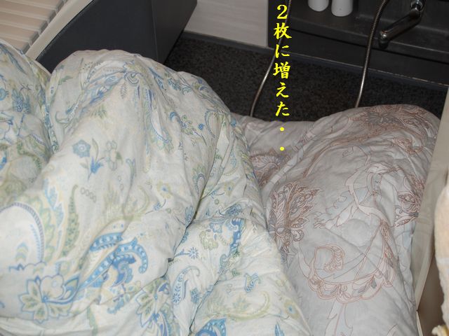 e0094407_0475828.jpg