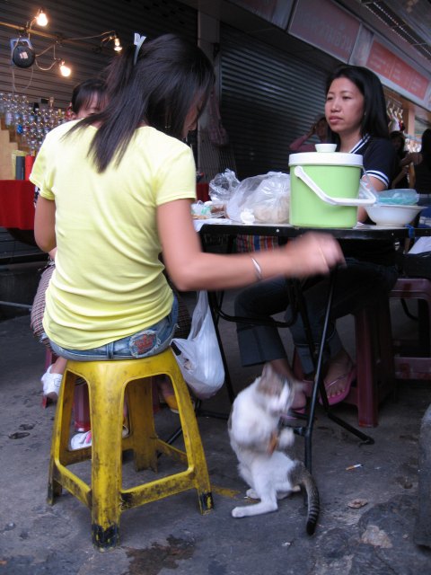c0071611_8541691.jpg