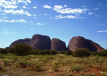 Desert Patrol Tour 4 ～Adelaide to Alice Springs～_c0018514_115011.jpg