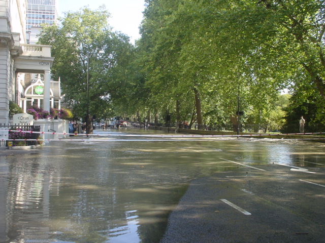 f0077414_7571076.jpg