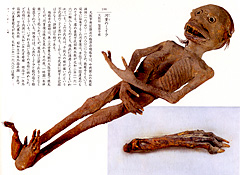 f0037434_55861.jpg