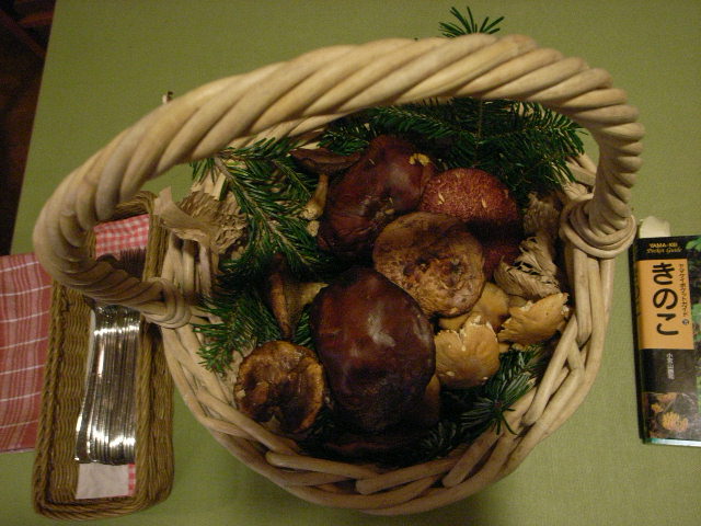 c0092152_02472.jpg