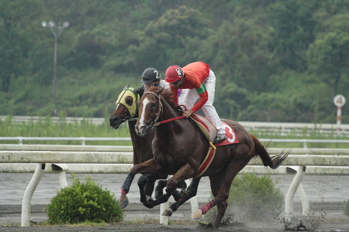 2006年9月17日（日） 高知競馬_a0077663_18543630.jpg