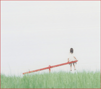 e0030479_22101183.gif