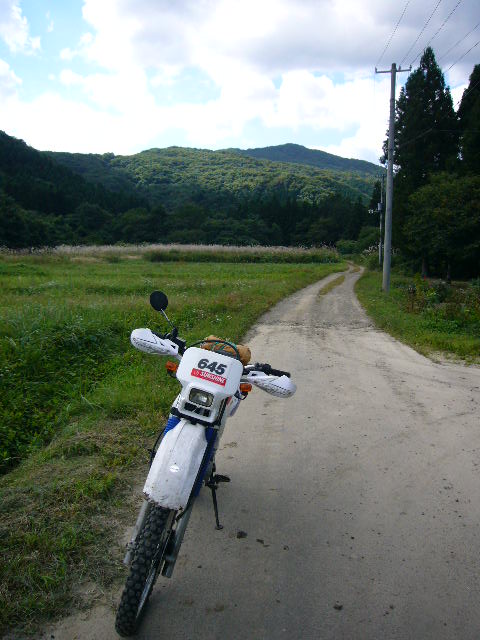 b0050305_15111877.jpg