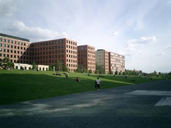 e0038811_43085.jpg