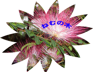 a0070029_15424511.gif