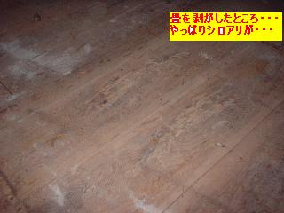 デモリションマン!?・・ランボーかい?・乱暴じゃないけど・・_f0031037_1623071.jpg