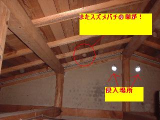 デモリションマン!?・・ランボーかい?・乱暴じゃないけど・・_f0031037_16233676.jpg