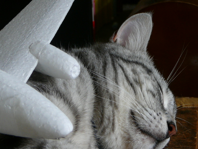 トラタヌ NYA62A 間に合うのか??????_d0067943_0363330.jpg