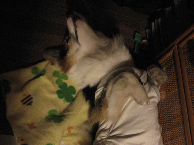 夜も更けて_b0097747_10413491.jpg