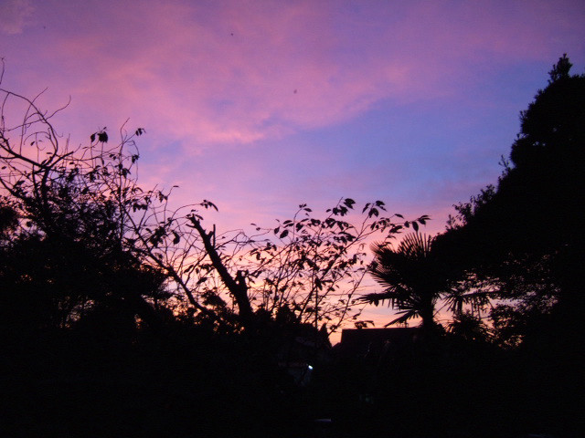 a0052750_18262624.jpg