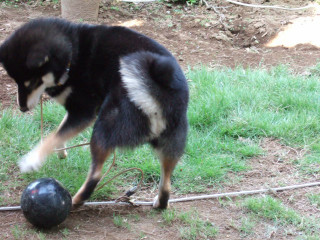 a0052750_18281142.jpg