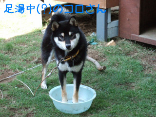 a0052750_18282229.jpg