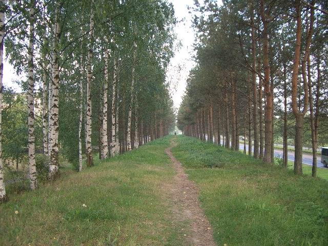c0034850_2352026.jpg