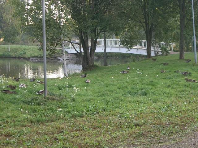c0034850_235306.jpg