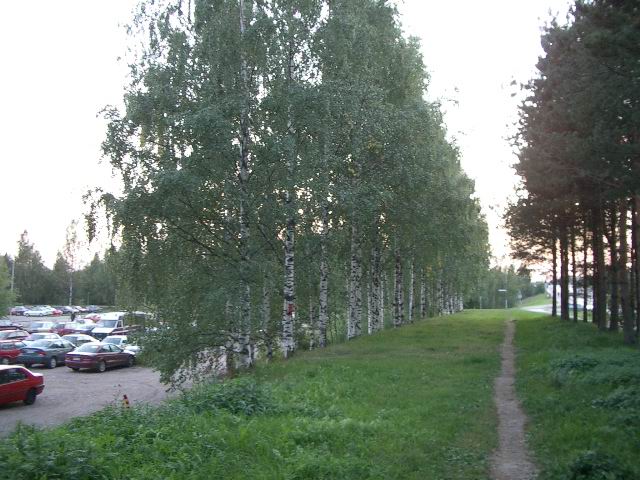 c0034850_235997.jpg