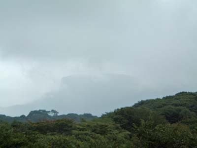 b0045357_157159.jpg