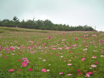 b0045357_1595573.jpg
