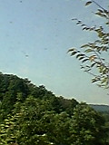 花火_b0096957_106431.jpg