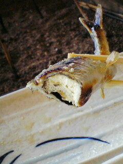 c0081883_2051359.jpg