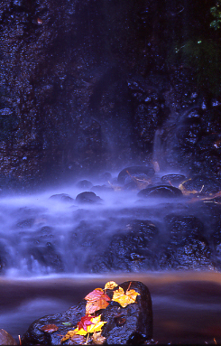 d0025894_095423.jpg