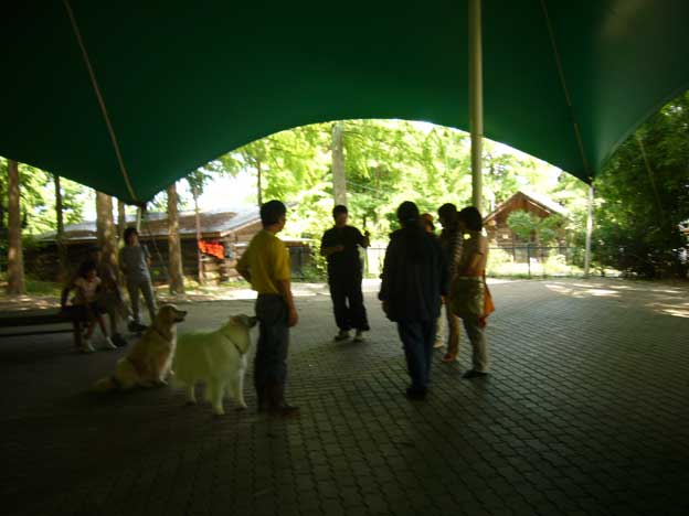 e0018604_5341180.jpg