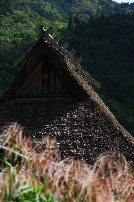 初秋の美山・世間はやはり狭かった!_f0032011_18592027.jpg