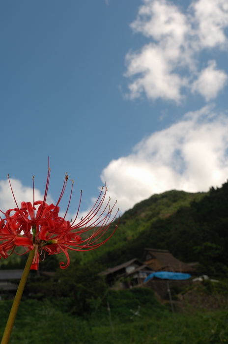初秋の美山・世間はやはり狭かった!_f0032011_1905831.jpg
